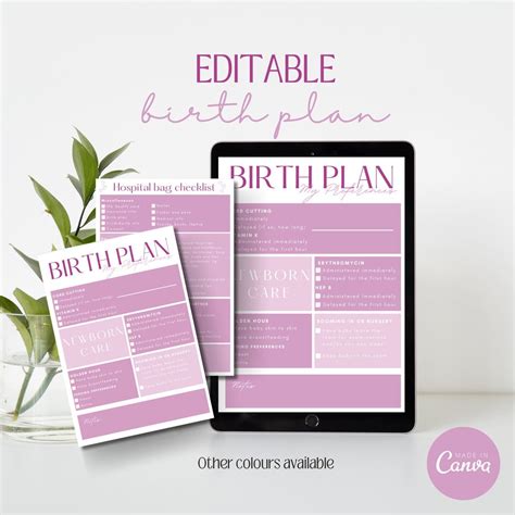 Plantilla De Plan De Parto Editable Plan De Parto Imprimible Etsy