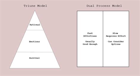 Triune And Dual Process Models Of Thinking Mental Construction