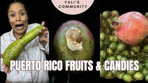 Puerto Rico Fruits And Candies Quenepas Avocado Mango Passion Fruit