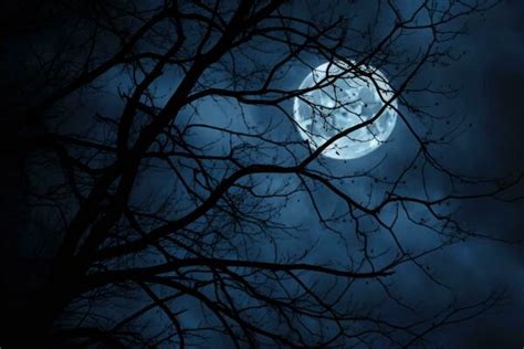 Spooky Night Stock Photos, Images and Backgrounds for Free Download