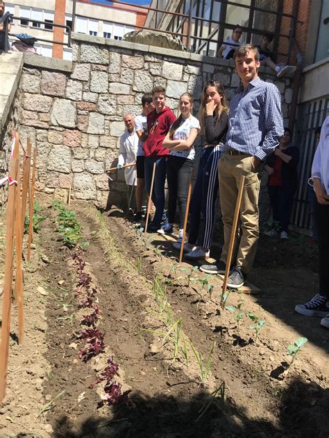 Actividades Complementarias Y Extraescolares Ies Padre Isla Huerto Escolar