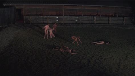 Adult Empire Award Winning Retailer Of Streaming Porn Videos On Demand Adult DVDs Sex Toys