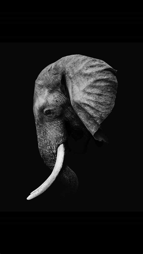 Black Elephant Wallpapers - Top Free Black Elephant Backgrounds - WallpaperAccess