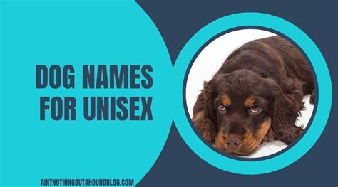 100+ Unisex & Gender-Neutral Dog Names With Meanings