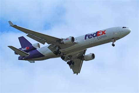 FedEx Trip Buddy: Ultimate 2025 Guide to Tracking, Rewards & Advanced ...