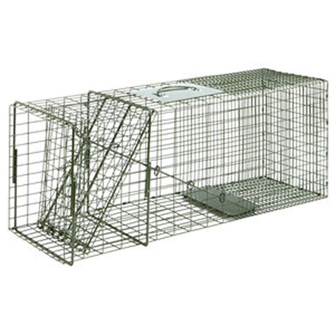 The Snare Shop Raccoon Traps