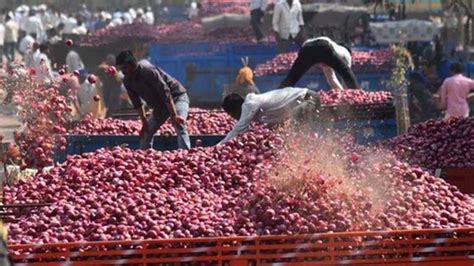 Govt Buys 71 000 Tons Of Onion For Buffer Stock Expects Retail Prices