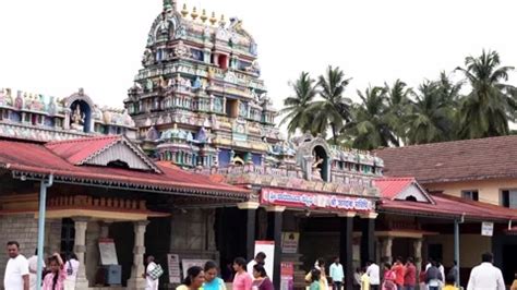 sringeri sharadamba temple stock video pond