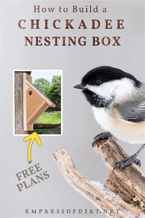 Make a Chickadee Nesting Box (Free Plans) — Empress of Dirt
