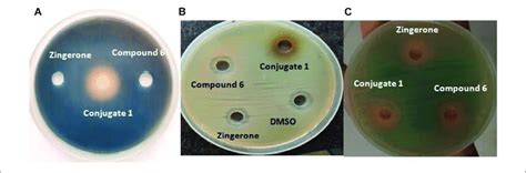 A Iron Chelation Potential B Antibacterial Activity Against P