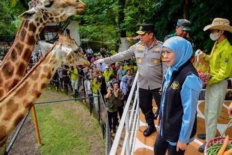 Libur Lebaran Kunjungan Wisatawan Ke Kbs Tembus Hingga Ribu Orang