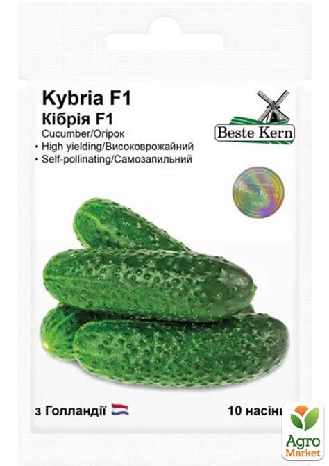 Огурец "Кибрия F1" ТМ "Beste Kern" 10шт купить почтой в Одессе, Киеве ...