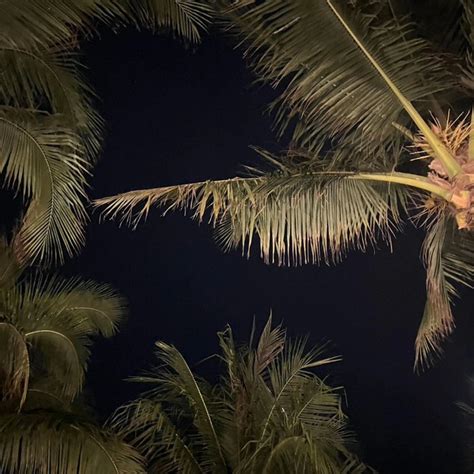 N Th N Kpop Uee B T Ng X Nh Ph Qu C Di N Bikini Th D Ng Nu T N Nh N Ch C Ng N Like