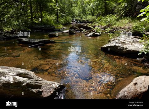 Cheaha Creek In Talladega National Forest Alabama Stock Photo Alamy
