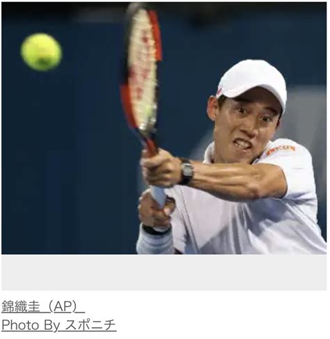 ・錦織圭、1年8カ月ぶりの復帰大会で優勝 寝言は寝て語れ 旧analyzer的独白 楽天ブログ