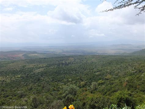 view   great rift valley zoochat
