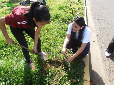 Agrupaci N Ecol Gica La Tierra Primero Junio