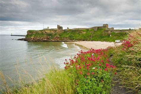 tynemouth king edwards bay beach natureflip