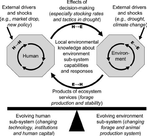 Images Of Human Environment Interaction Human Environment Interactions