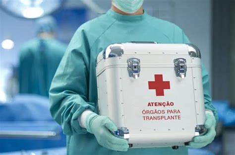 Doação De Orgãos No Brasil - Dia Nacional da Doação de Órgãos: Brasil lança campanha para incentivar ...