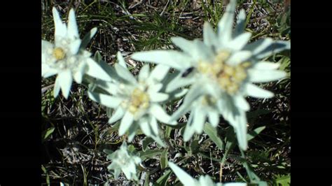 ДНИ ЛЕТЯТ - YouTube