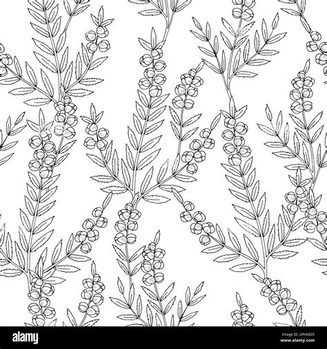 Heather Flower Seamless Pattern Background Graphic Black White Sketch