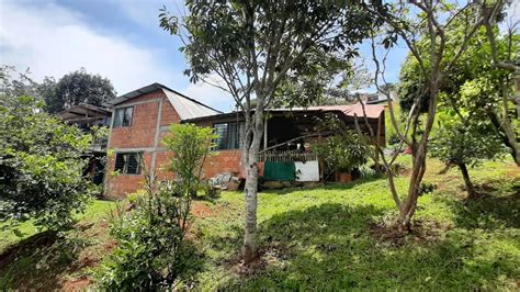 REF 093 PEDROPARRA GANGA CASA LOTE DE 600 MTS CUADRADOS SOBRE VIAS