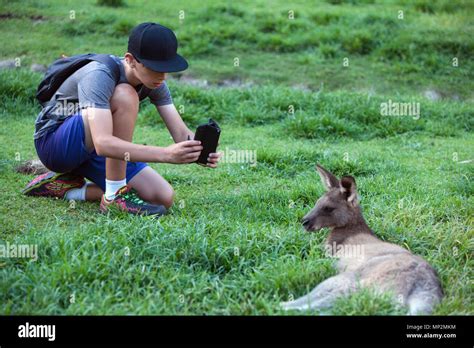 Gold coast wildlife hi-res stock photography and images - Alamy