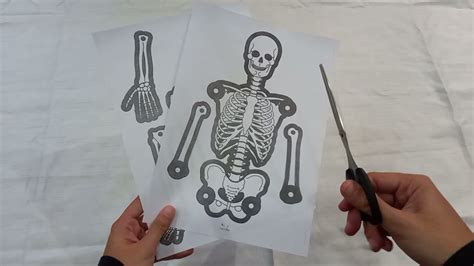 Membuat Wayang Atau Model Rangka Manusia Youtube