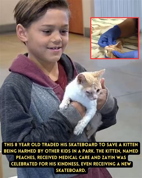 “A Skateboard, a Kitten, and a Life Changed: Zayin’s Unforgettable Act