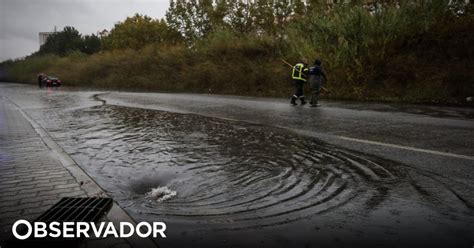 Mau tempo provoca queda de árvores e de estruturas e pequenas