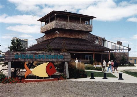 Atlantic City Aquarium in Gardener's Basin, Atlantic City. | Atlantic ...