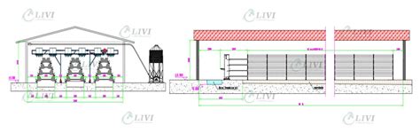 Poultry Farming Solutions for 20,000 Layers Chicken Farming - Poultry ...