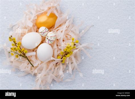 Easter Nest With Eggs And Pussy Willow White Eggs Styrofoam Eggs And Golden Egg In Paper Nest