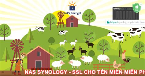 SYNOLOGY NAS – TẠO CHỨNG CHỈ SSL CHO DOMAIN MIỄN PHÍ – Trần Phúc 