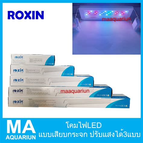 Roxin Led Gx A Shopee Thailand