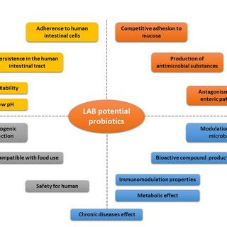 Probiotic Strains Characteristics Of Selection For Fermented Fruit And