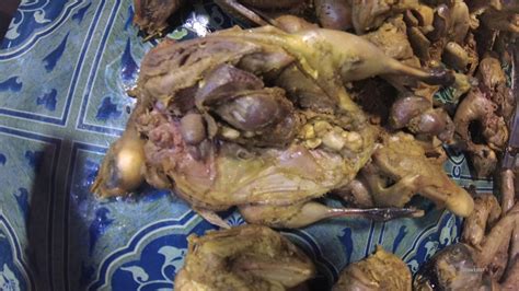 Burung Ayam Goreng 57 Koleksi Gambar