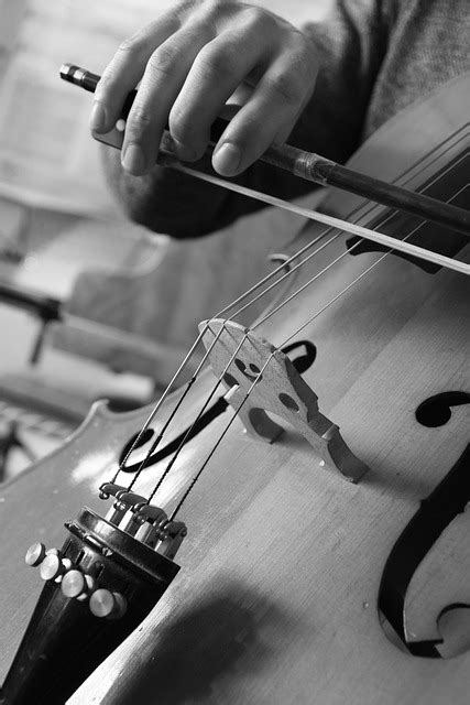 Violonchelo Música Instrumento Foto gratis en Pixabay Pixabay