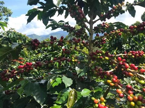 How to visit and enjoy Jardin, Antioquia, Colombia