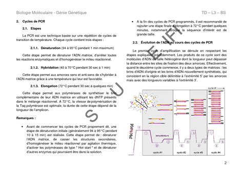 SOLUTION Td Biologie Mol Culaire Et G Nie G N Tique Pcr Studypool