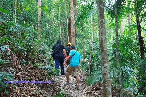 Gambar Hutan Rekreasi Sungai Udang Gambar Di Rebanas Rebanas