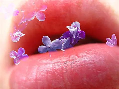 8 Tips For Awesome Oral Sex