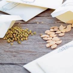 Кабачок УГОЛЕК (Марс)