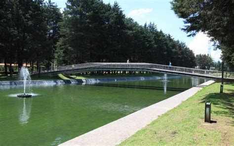 El Parque Metropolitano ya es área natural protegida El Sol de Toluca