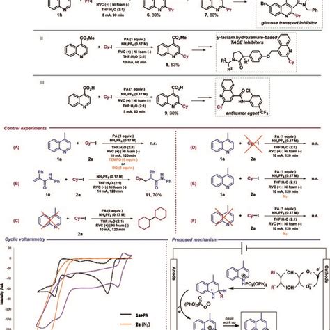 Previous Work A Electrochemical Minisci Type Alkylation B This