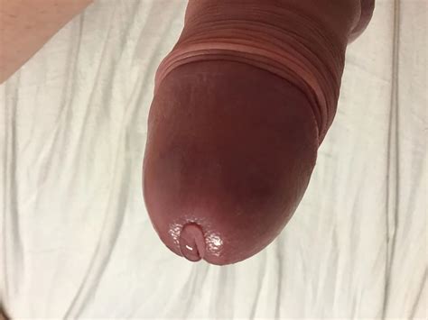 Hard And Wet Nude Pics XHamster