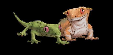The Crested Gecko: What Is a Crested Gecko and Is it a Good Pet?
