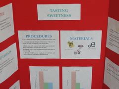 Science Fair Projects