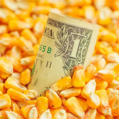 New money coming for Franklin County farm preservation as it inches